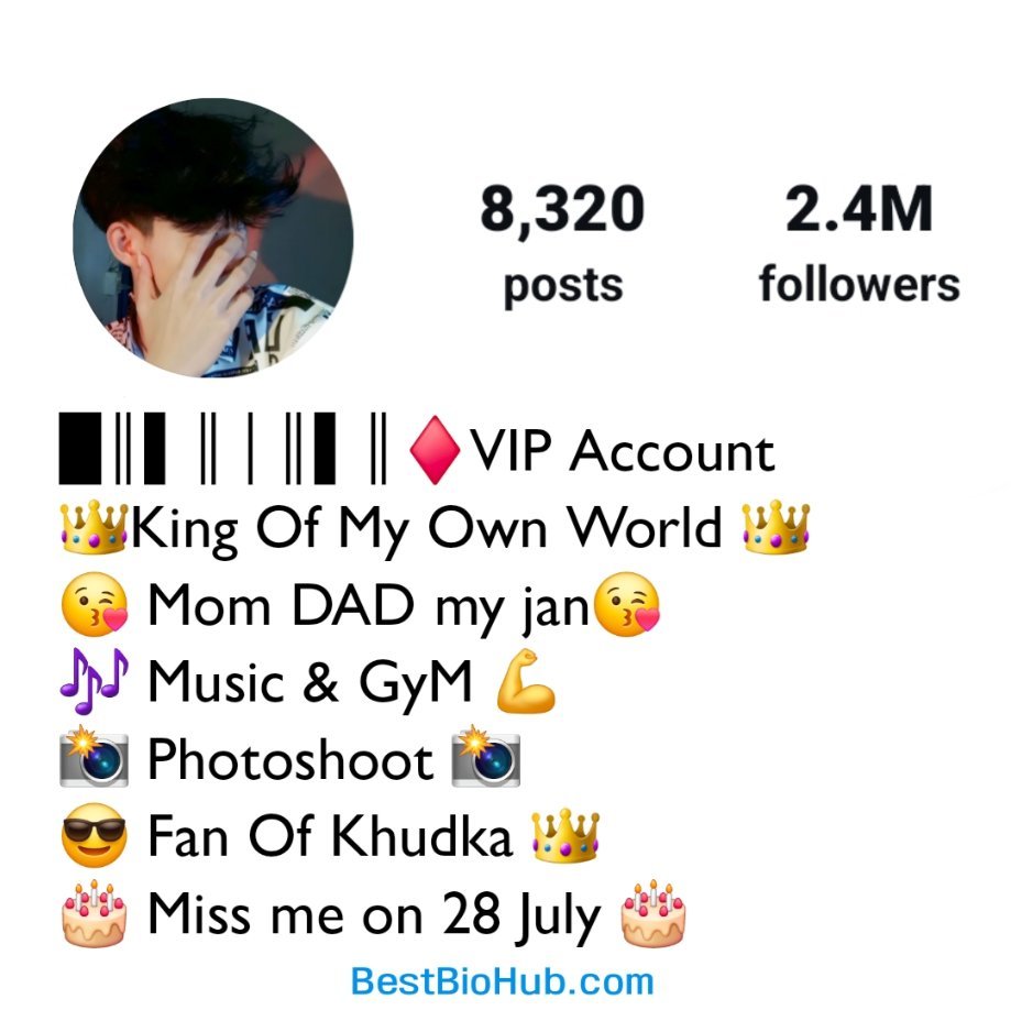 Instagram VIP Bio For Boys