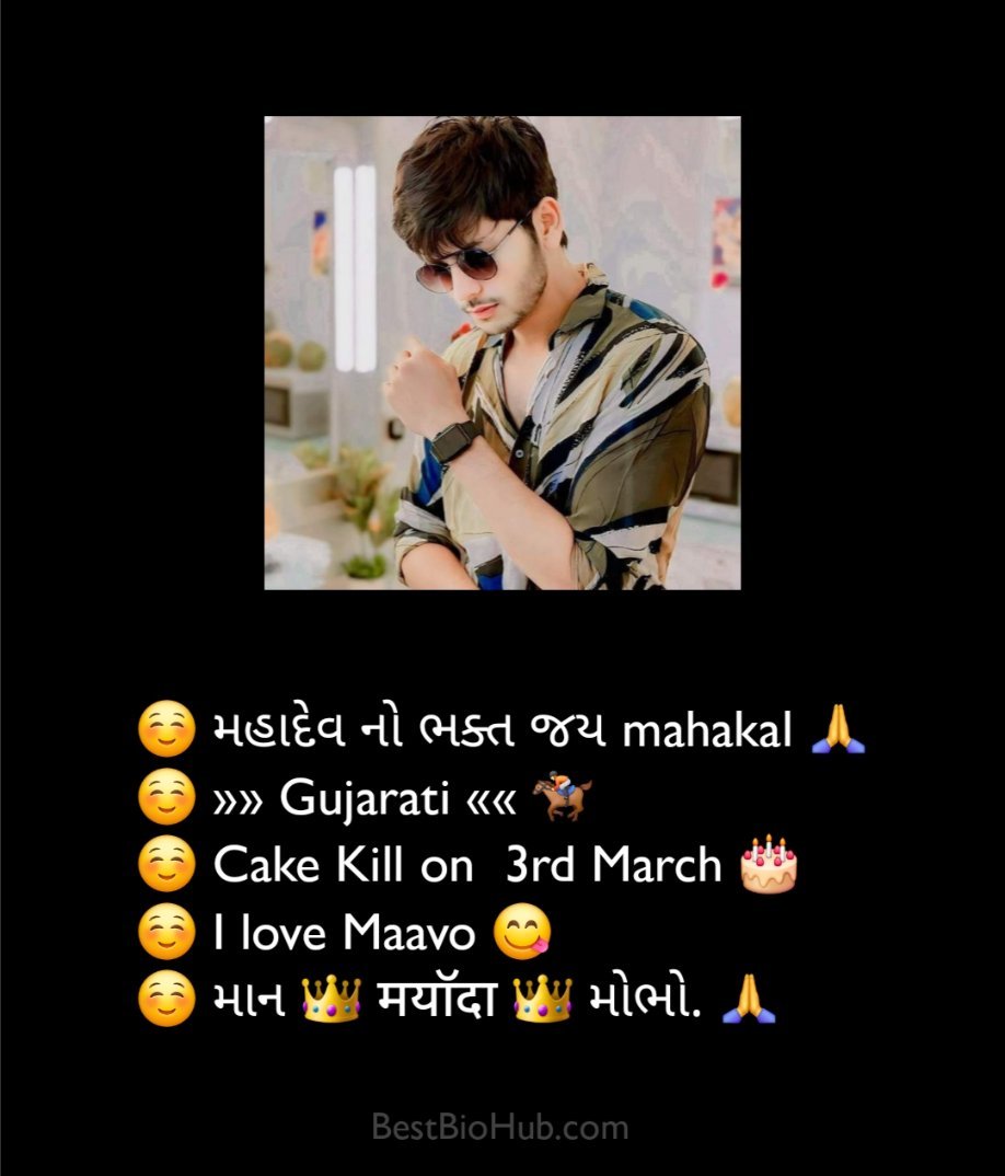 Unique Instagram Bio Gujarati