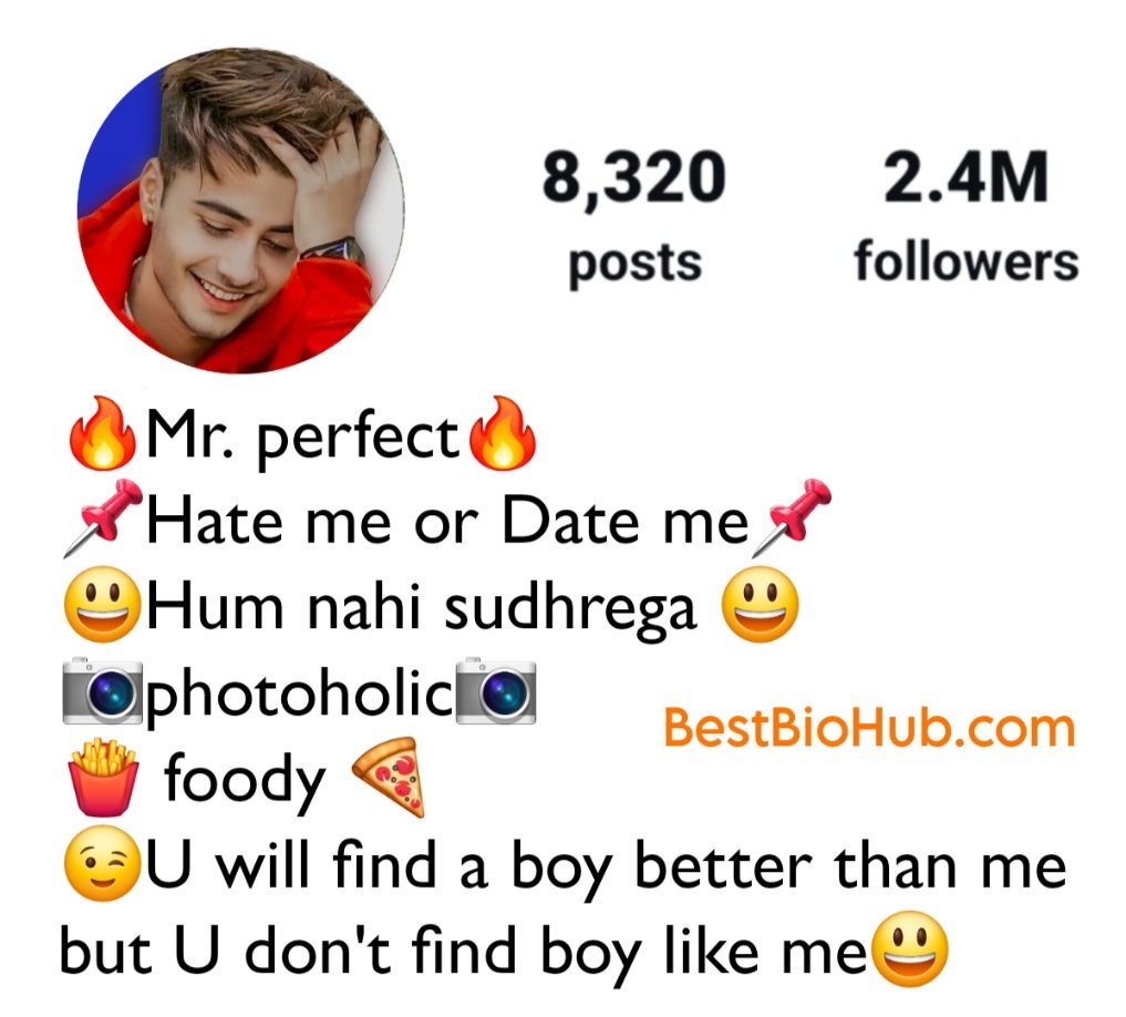 Instagram VIP Bio Hindi